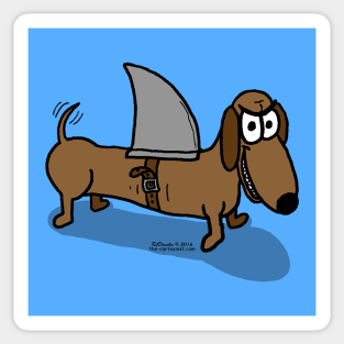 Wiener Dog with a Shark Fin Sticker